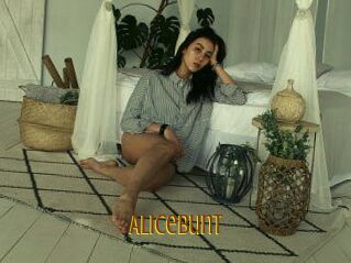 Alicebunt