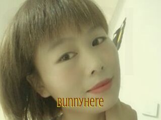 Bunnyhere