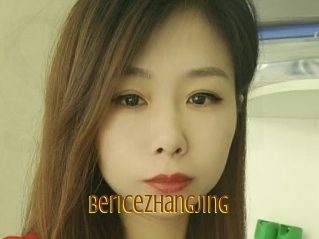 Bericezhangjing