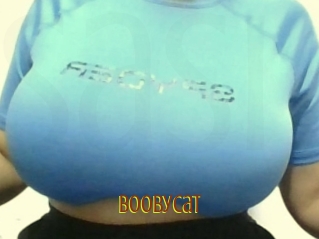 Boobycat