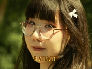 Elvinagitt