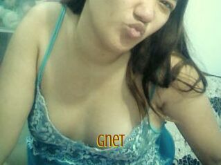 Gnet