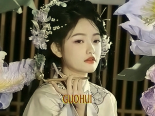 Guohui