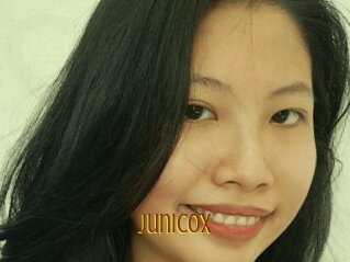 junicox Salope Asiatique