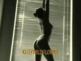 KittyWildflower