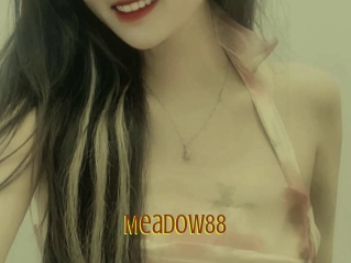 Meadow88