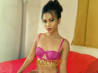Rozettesy