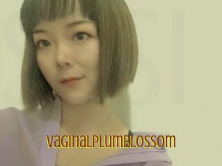 Vaginalplumblossom