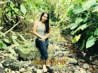 Wild_Rose18