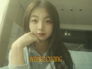 wangzcxiang Salope Asiatique