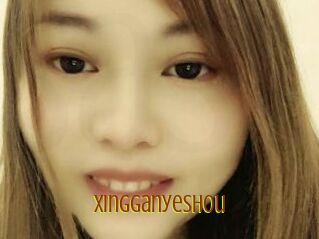 Xingganyeshou