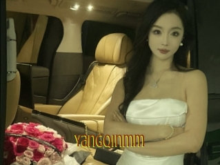Yangqinmm